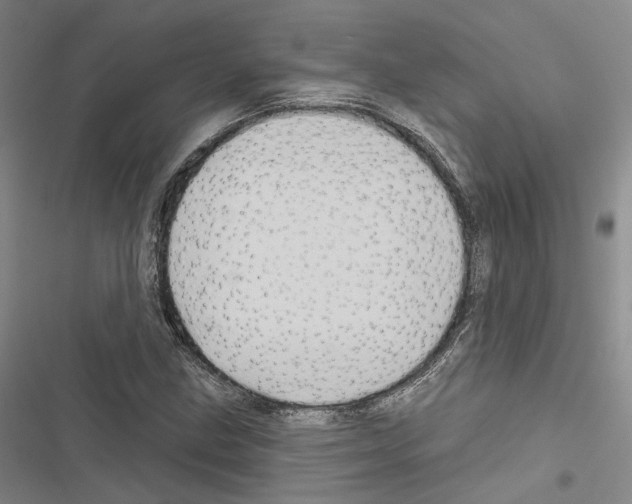 X0000116491211201001201356