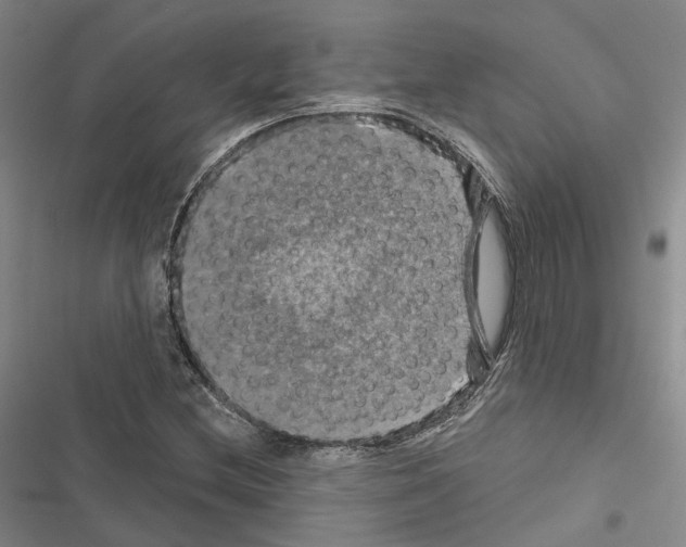 X0000116491212201001201356