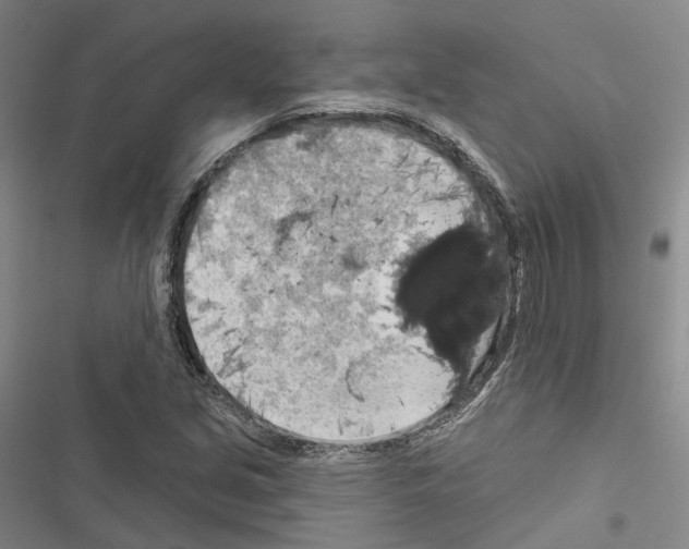 X0000116491213201001201356