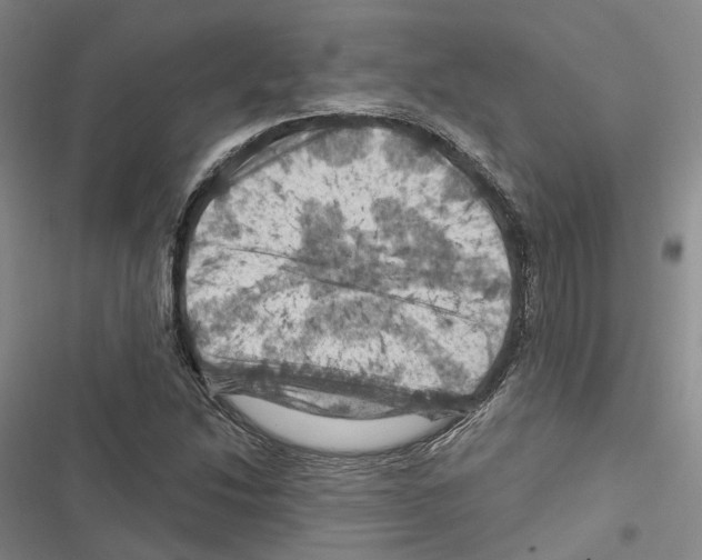 X0000116491214201001201356