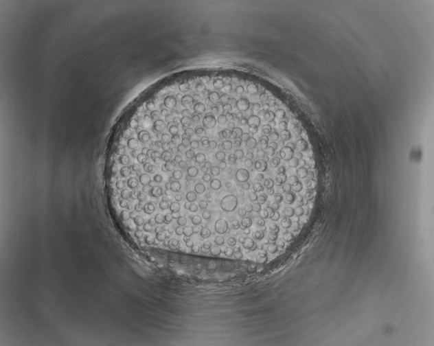 X0000116491216201001201356