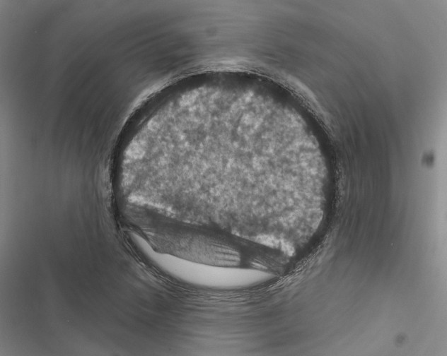 X0000116491218201001201356