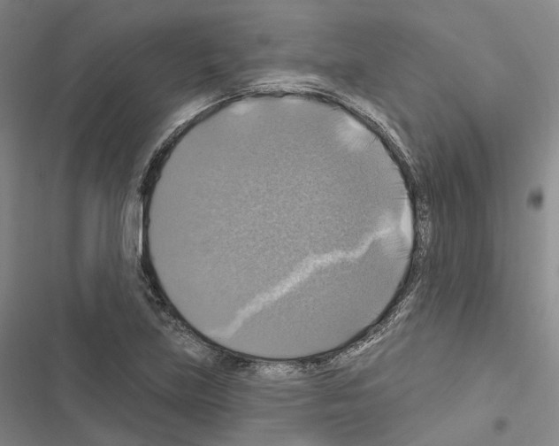 X0000116491219201001201356