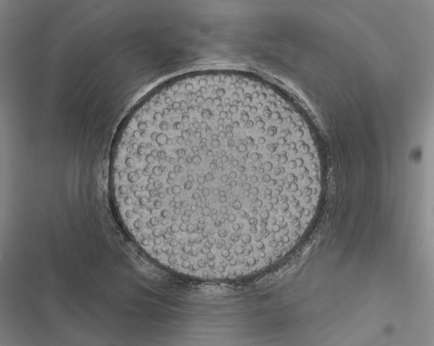 X0000116491220201001201356