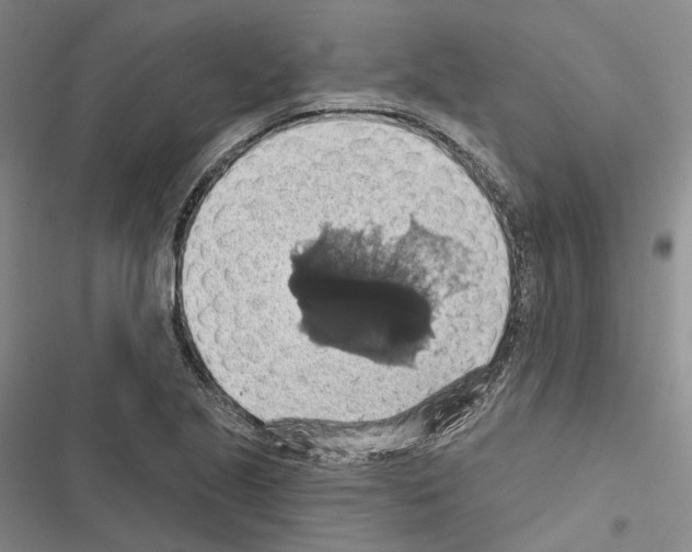 X0000116491221201001201356