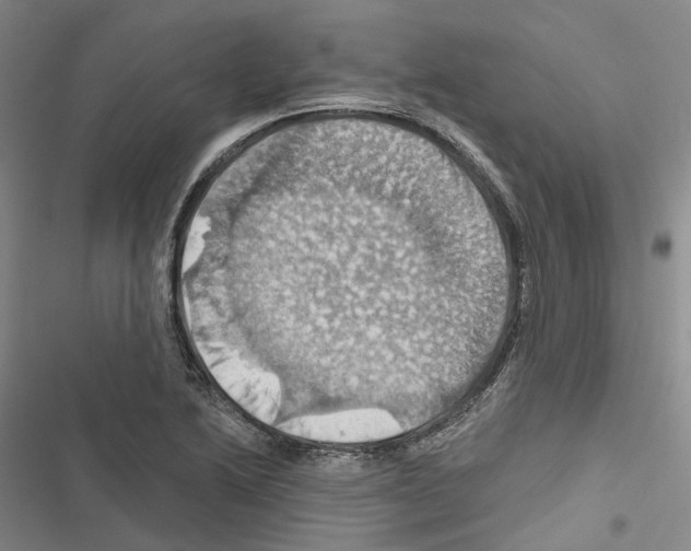 X0000116491222201001201356