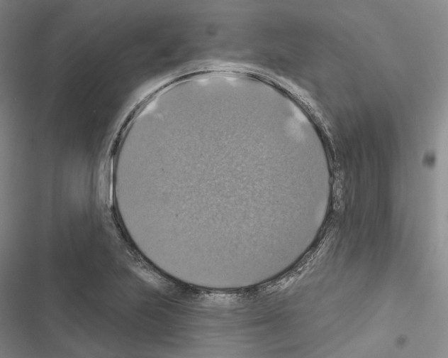 X0000116491223201001201356