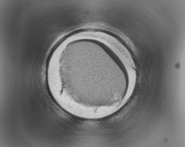 X0000116491224201001201356