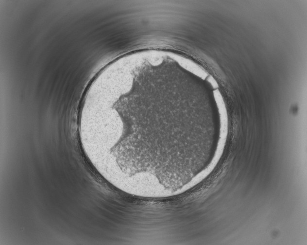 X0000116491226201001201356