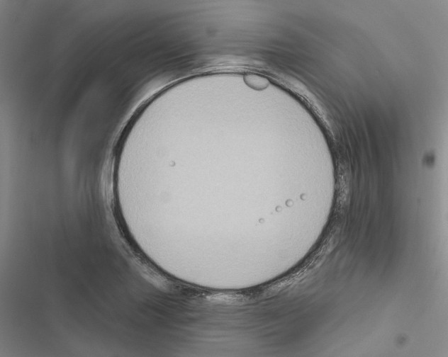 X0000116491227201001201356