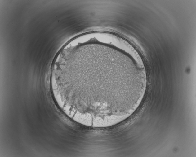 X0000116491228201001201356