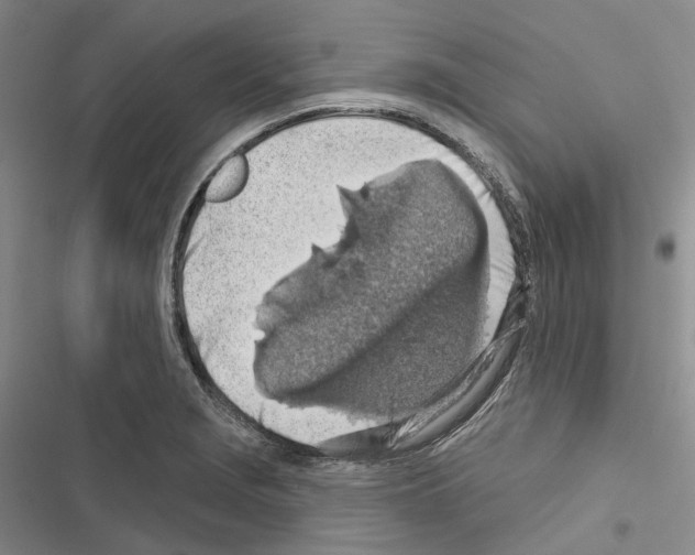 X0000116491229201001201356