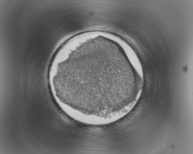 X0000116491230201001201356