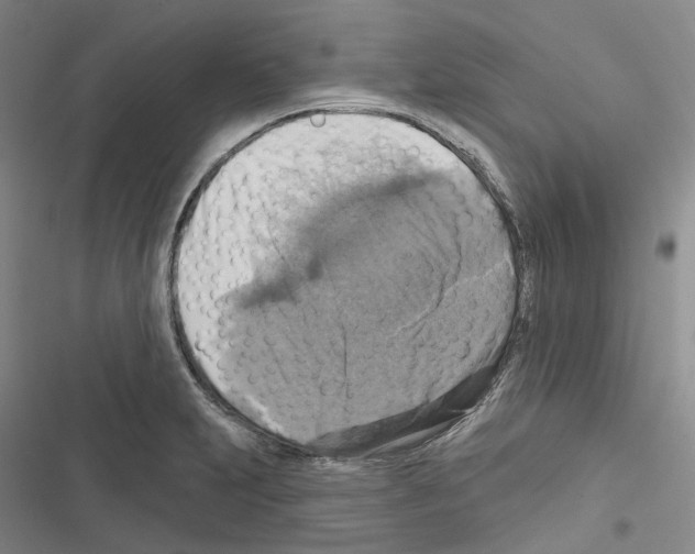 X0000116491231201001201356