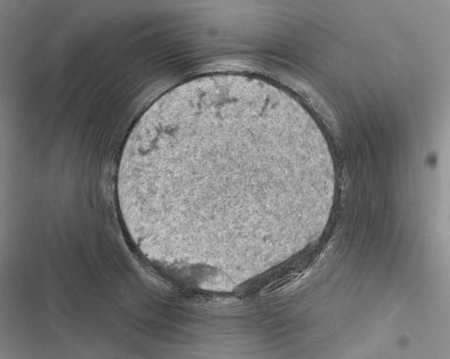 X0000116491233201001201356