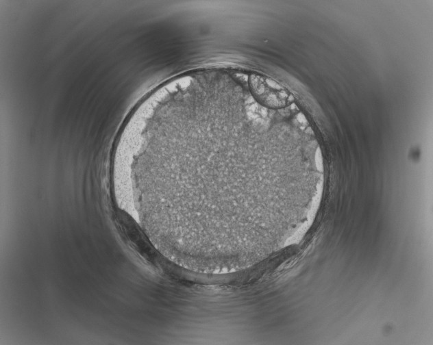 X0000116491234201001201356