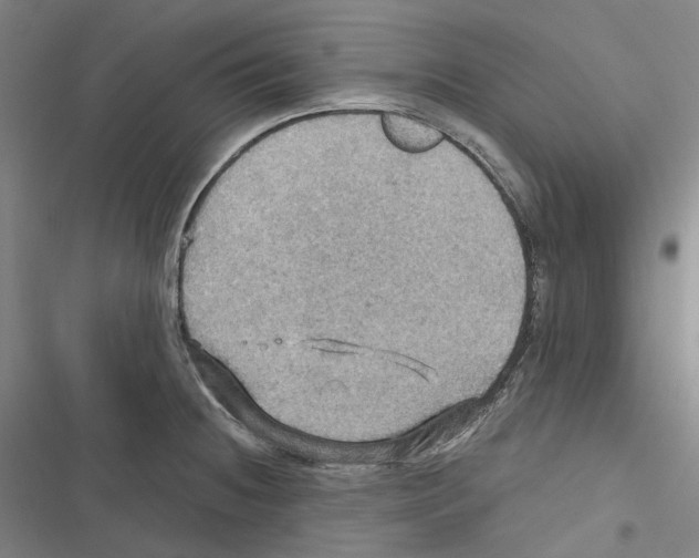 X0000116491236201001201356