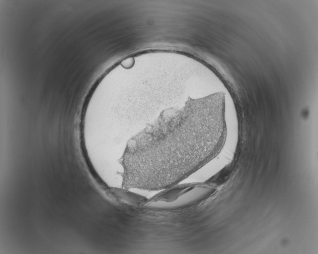 X0000116491237201001201356