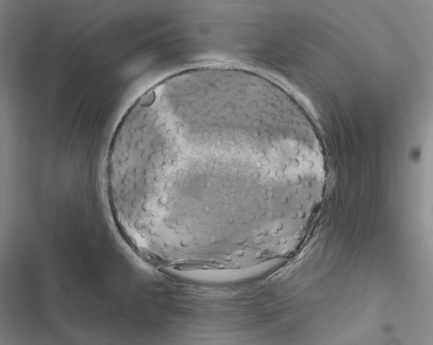 X0000116491239201001201356