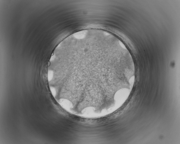 X0000116491241201001201356