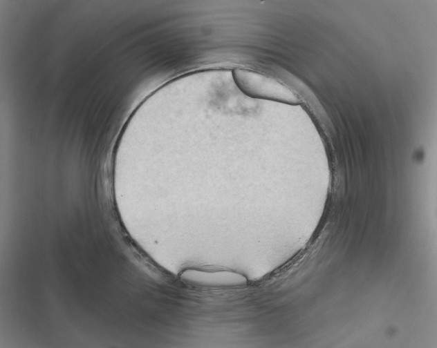 X0000116491242201001201356