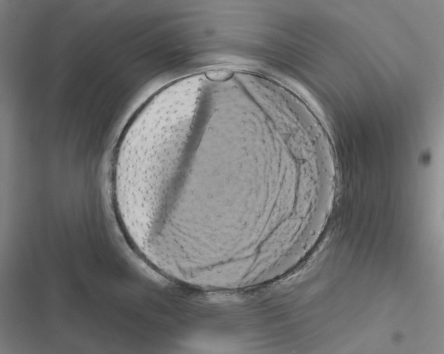 X0000116491243201001201356