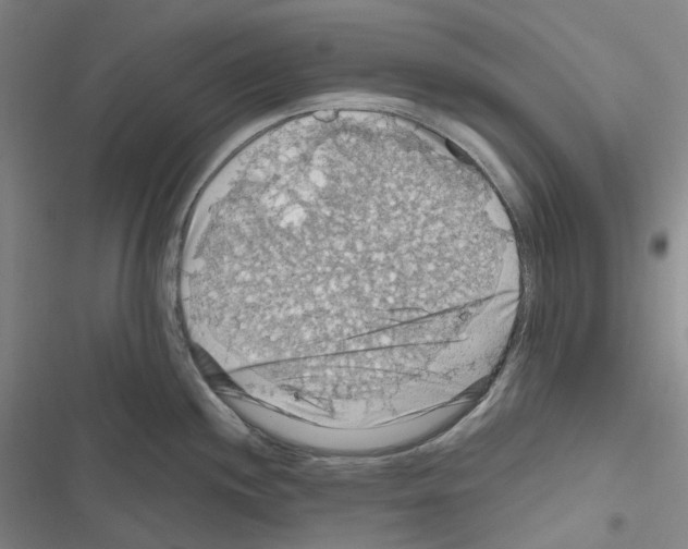 X0000116491244201001201356