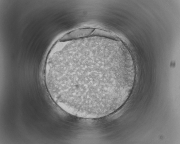 X0000116491248201001201356