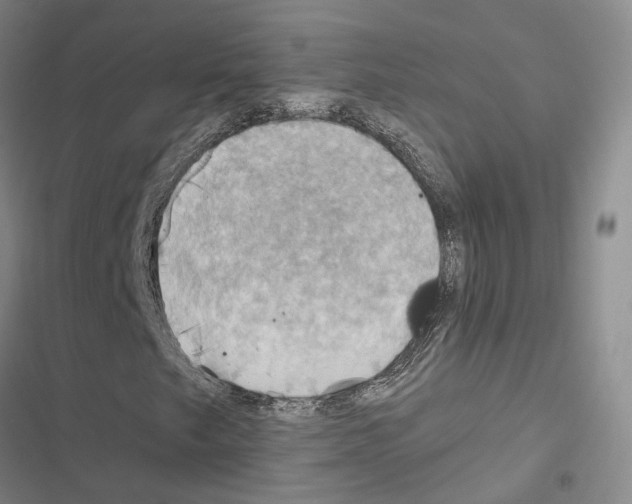 X0000116491249201001201356