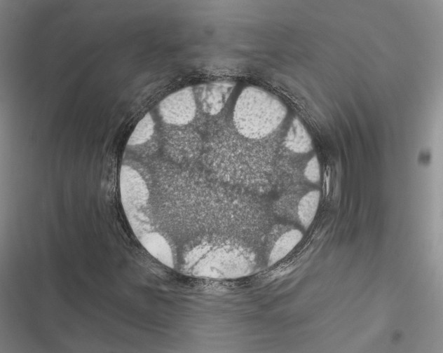 X0000116491251201001201356