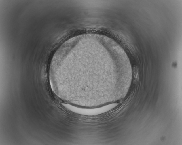 X0000116491252201001201356