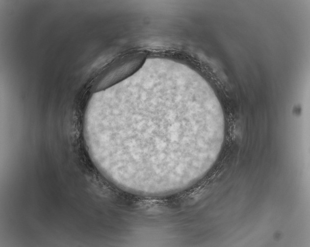 X0000116491253201001201356