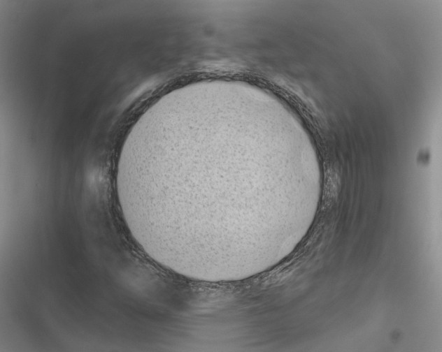 X0000116491254201001201356