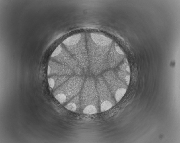 X0000116491255201001201356