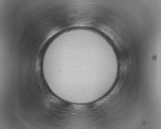 X0000116491258201001201356