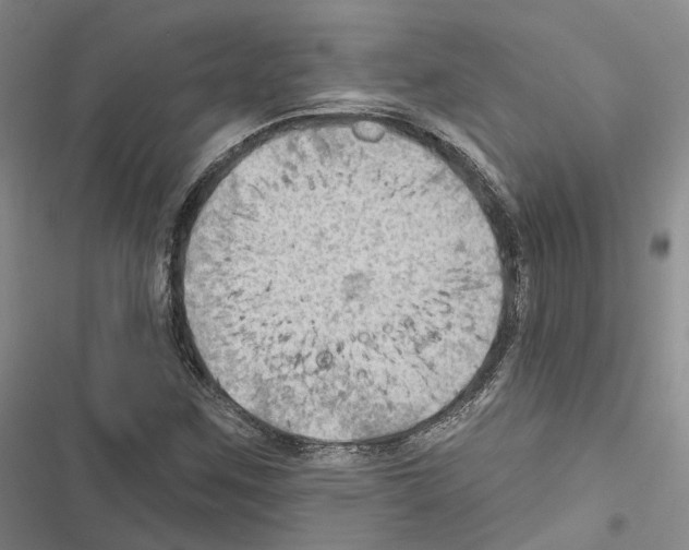 X0000116491259201001201356