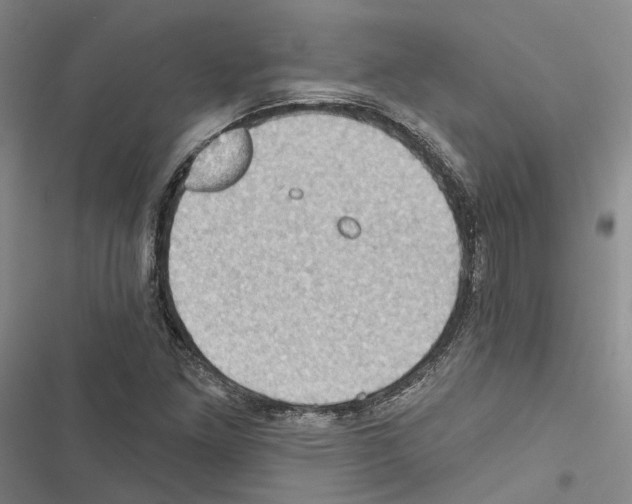 X0000116491261201001201356