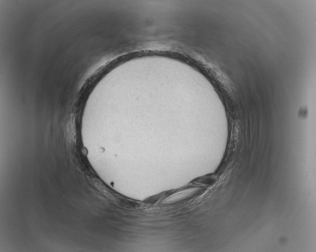 X0000116491262201001201356