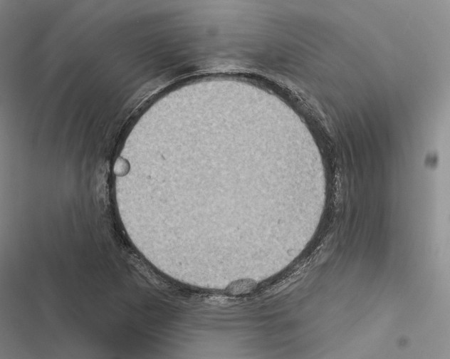 X0000116491265201001201356