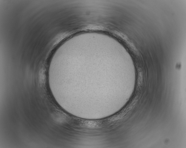 X0000116491266201001201356