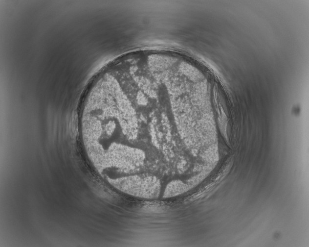 X0000116491267201001201356