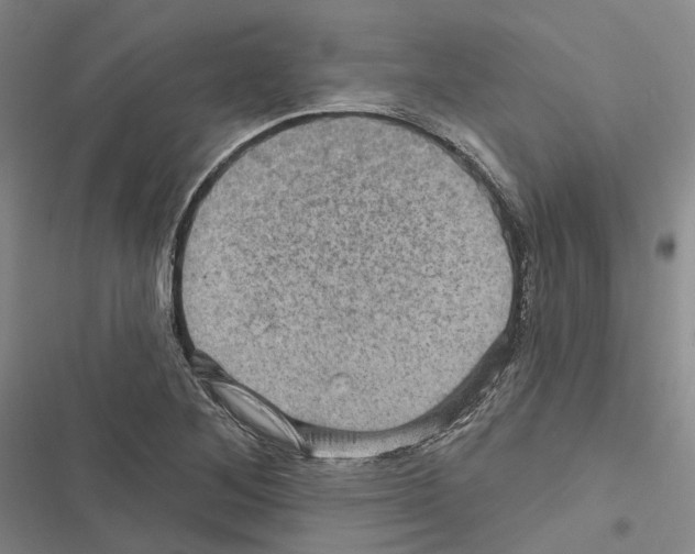 X0000116491268201001201356