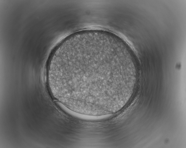 X0000116491269201001201356