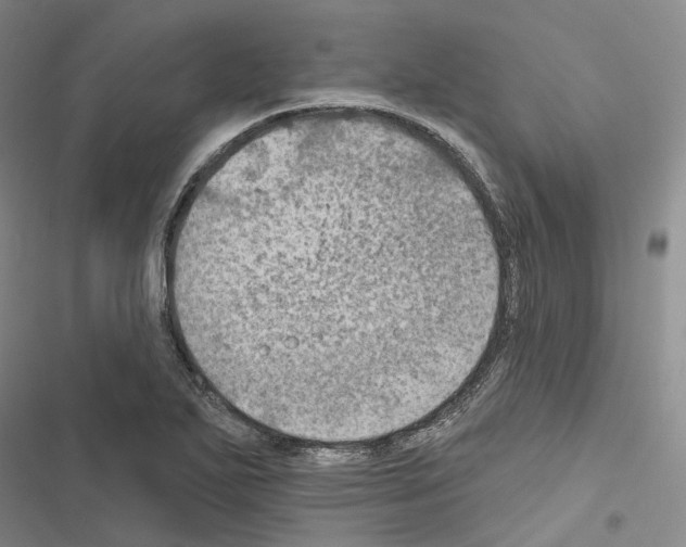 X0000116491271201001201356