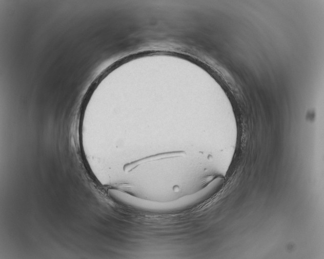 X0000116491272201001201356