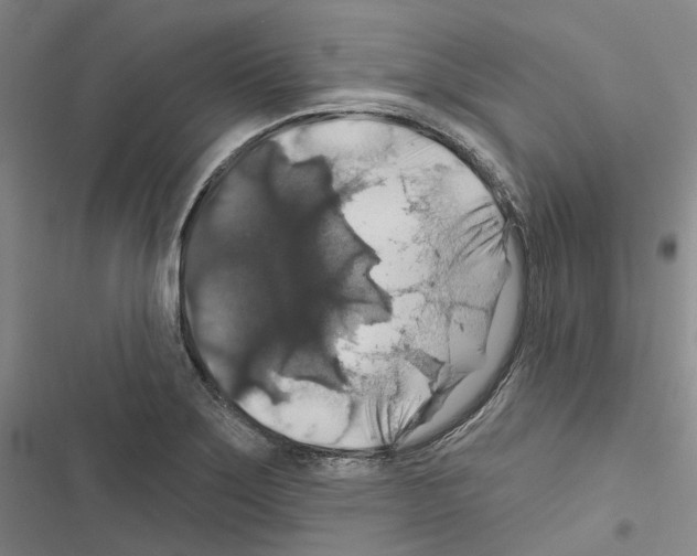 X0000116491275201001201355