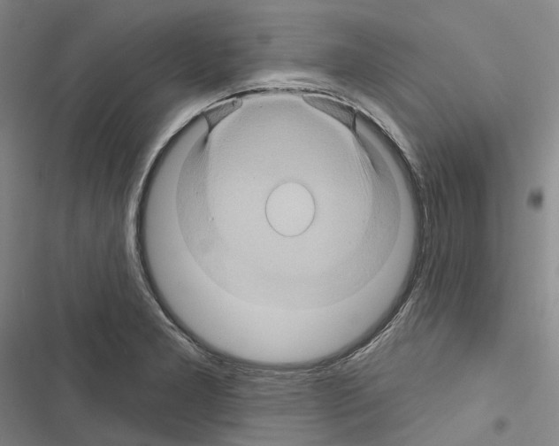 X0000116491277201001201355