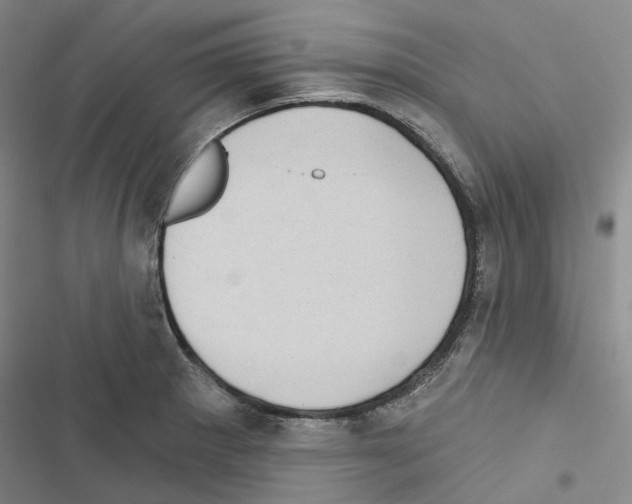 X0000116491281201001201355