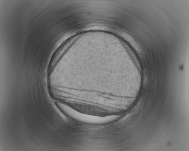 X0000116491282201001201355