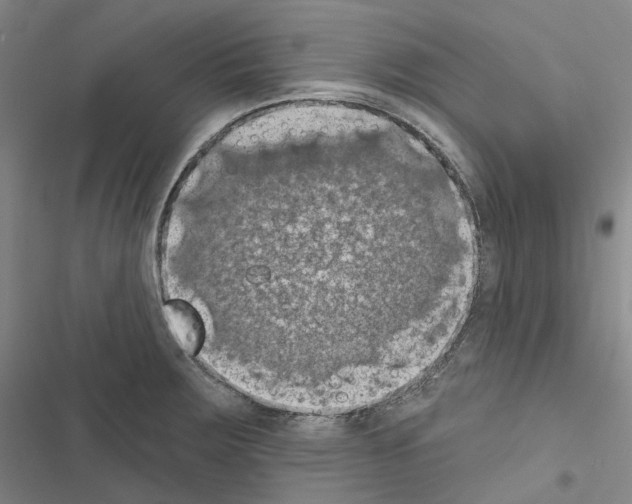 X0000116491283201001201355